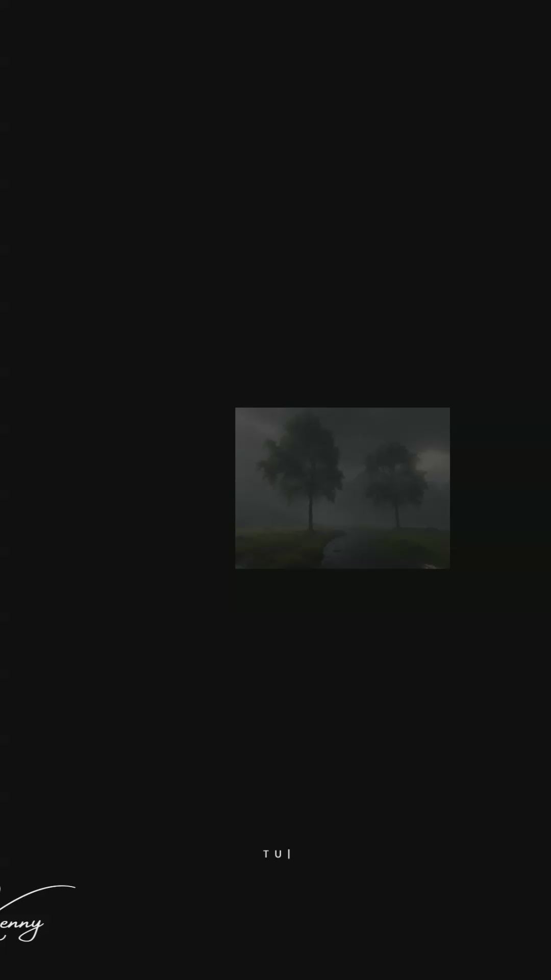 Mizzle | Leistungsfähiges, feuchtigkeitsableitendes T-Shirt